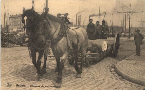 Anvers - Chevaux de corporations
