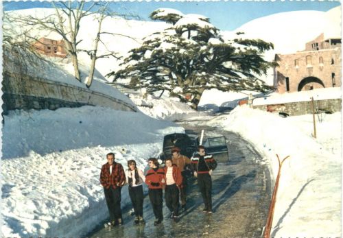 Lebanon - The Cedars
