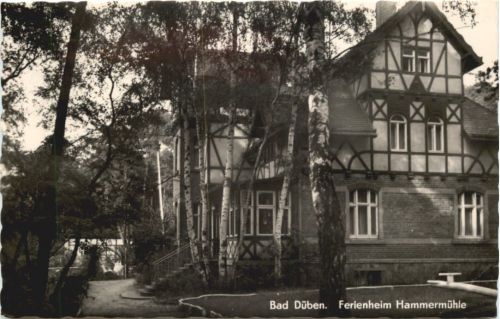 Bad Düben - Ferienheim Hammermühle