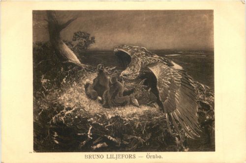 Künstler Ak Bruno Liljefors