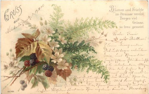 Blumen und Früchte