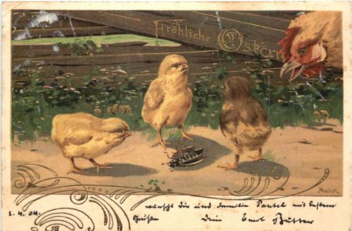 Ostern - Maikäfer - Geflügel