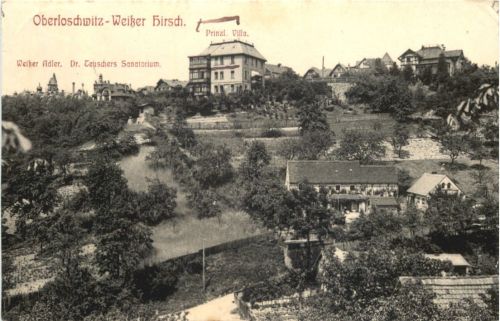 Oberloschwitz - Weisser Hirsch
