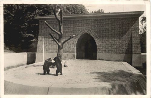 Berlin - Bärenzwinger im Köllnischen Park