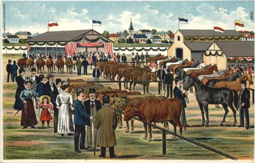 Viehmarkt - Litho