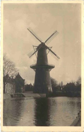 Korenmolen Schiedam - Windmühle