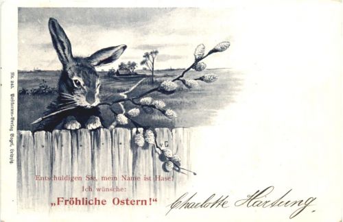 Ostern - Hase