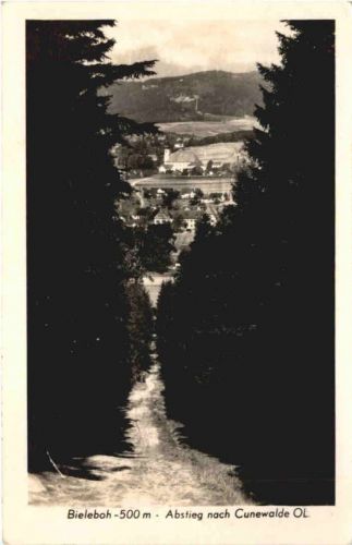 Abstieg nach Cunewalde