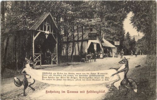 Fuchstanz im Taunus mit Feldbergblick