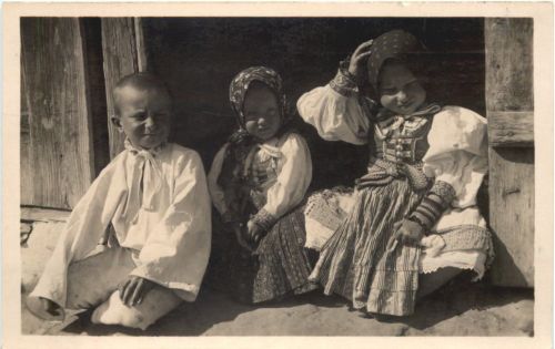 Vazec