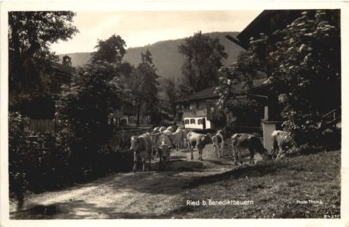 Ried bei Benediktbeuern