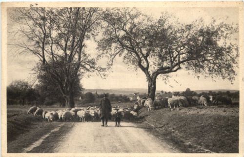 Vogelsberg - Schäfer