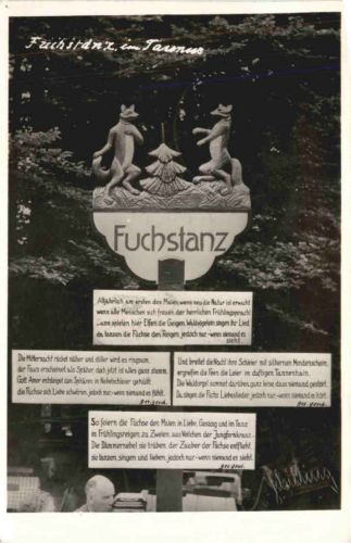 Fuchstanz im Taunus