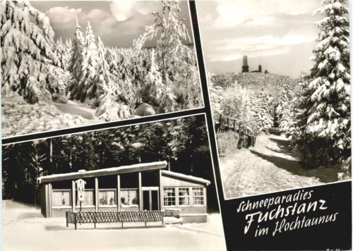 Fuchstanz im Taunus