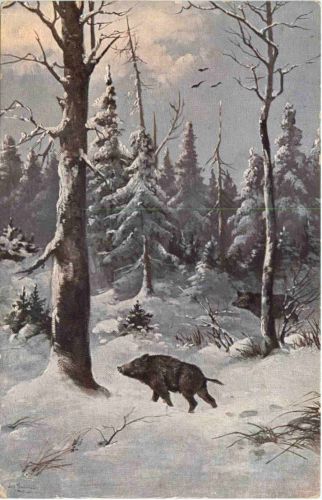 Wildschwein