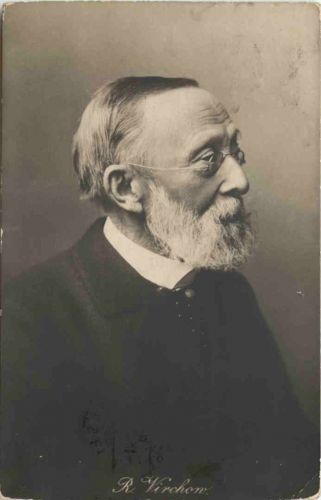 R. Virchow - Politiker