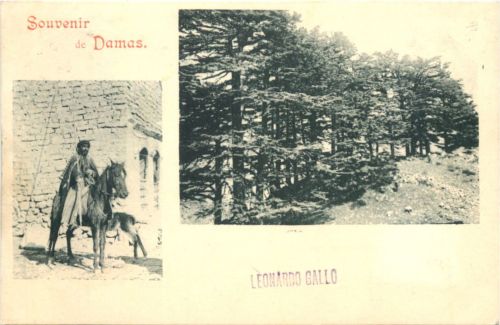 Souvenir de Damas