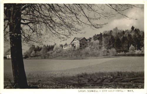 Der Wolfsberg - Sächs. Schweiz