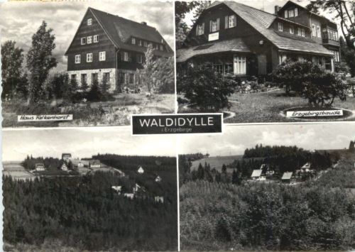 Waldidylle im Erzgebirge