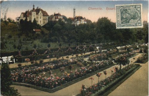 Chemnitz - Rosarium