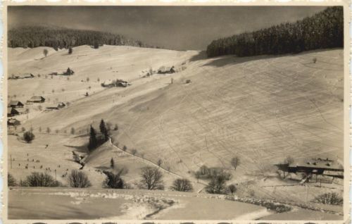 Todtnauberg Schwarzwald - Todtnau