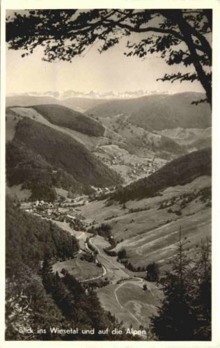 Wiesental im Schwarzwald - Todtnauberg