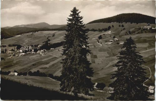 Todtnauberg - Tannanhof