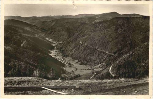 Fahl Brandenberg