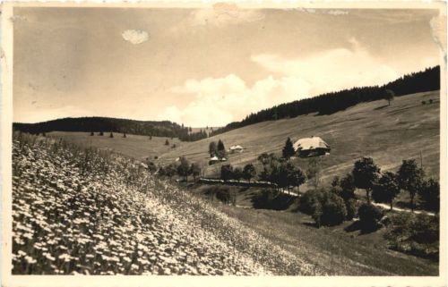 Todtnauberg - Rütte