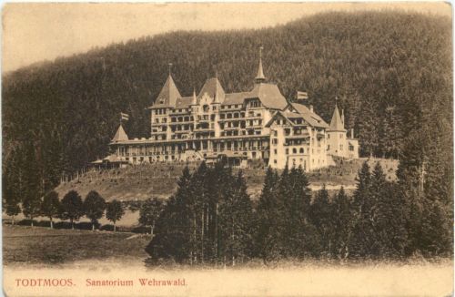 Todtmoos - Sanatorium Wehrawald