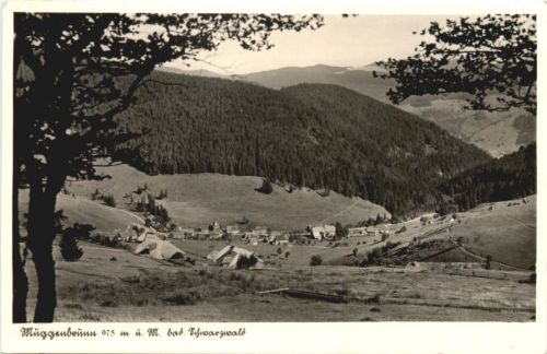 Muggenbrunn Schwarzwald - Todtnau
