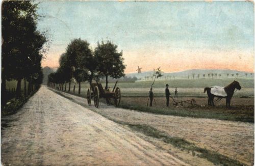 In Walde und Heide