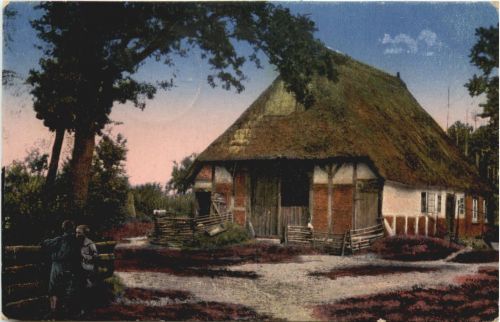 Aus der Heide
