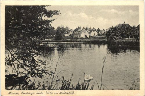 Munster Lüneburger Heide - Partie am Mühlenteich