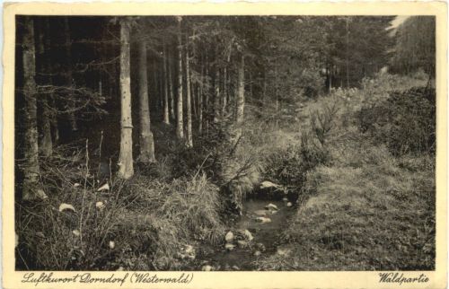 Dorndorf Westerwald