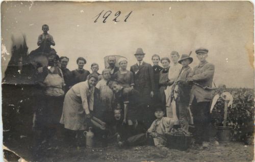 Weinlese