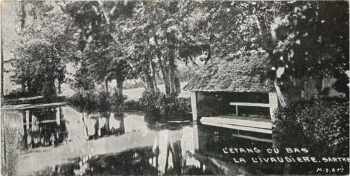 La Livaudiere Sarthe - Mini postcard