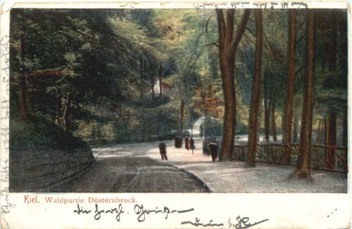 Kiel - Waldpartie Düsternbrock