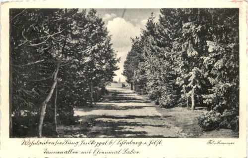 Schönberg Holstein