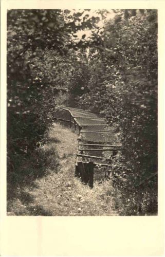 Wyk auf Föhr - In der Vogelkoje