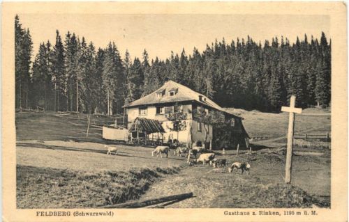 Feldberg - Gasthaus zum Rinken