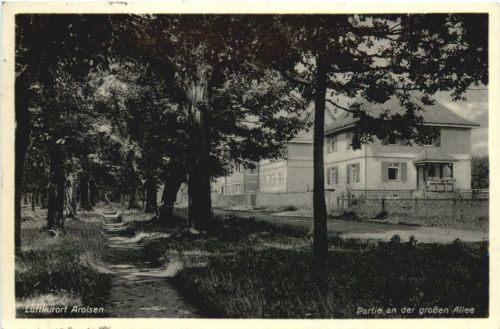 Arolsen - Partie an der großen Allee