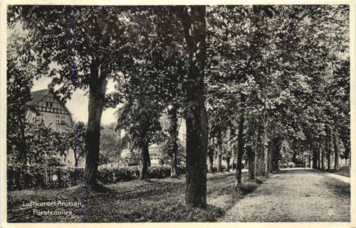 Arolsen - Fürstenallee