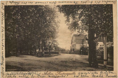 Arolsen - KAstanienallee