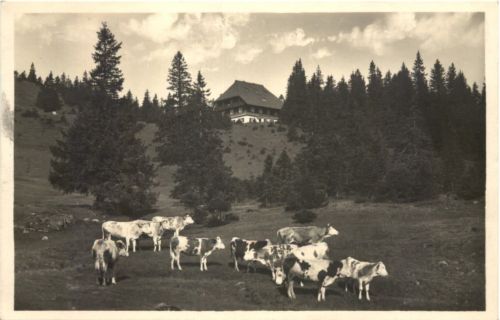 Feldberg - Naturfreundehaus