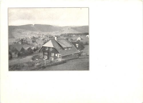 Feldberg - Schwarzwald - Ferienheim Falkau