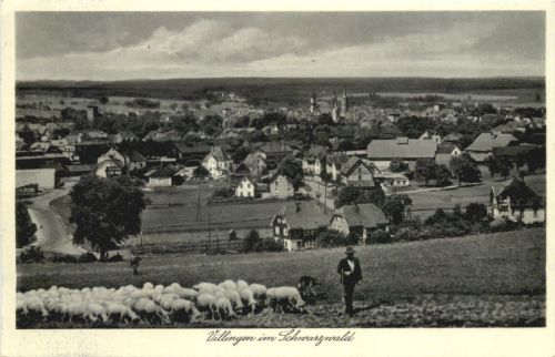 Villingen im Schwarzwald
