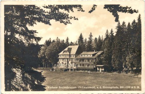 Kurhaus Breitenbrunnen im Schwarzwald bei Hornisgrinde