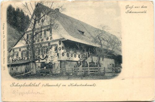 Schapbachthal