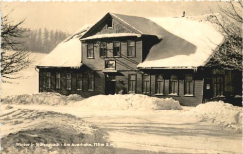 Winter in Stützerbach - Am Auerhahn